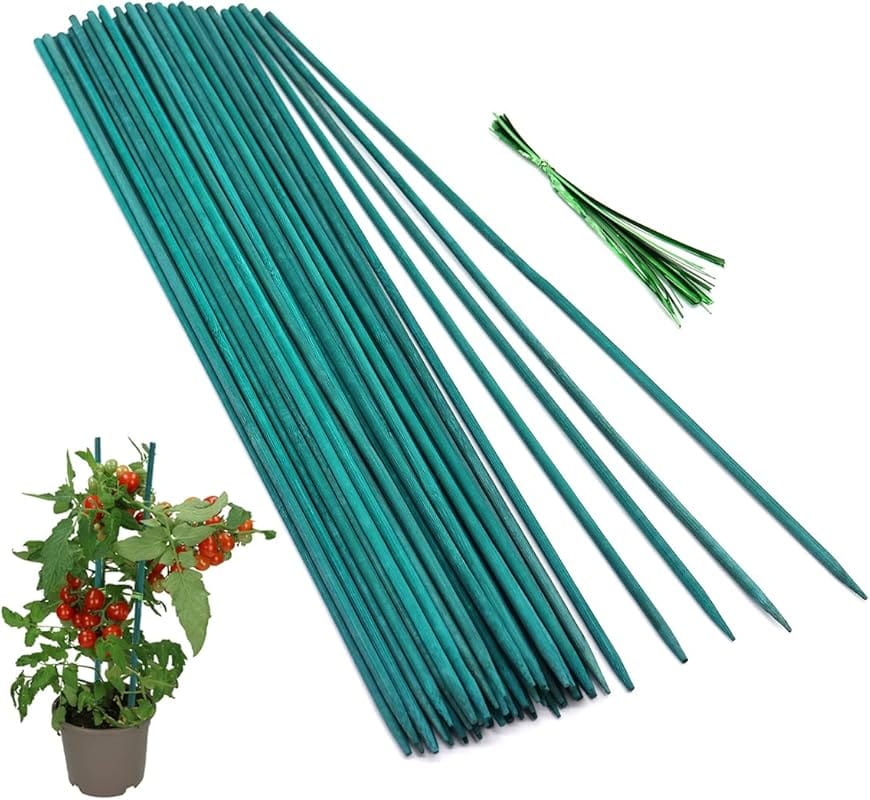 50PCS 18