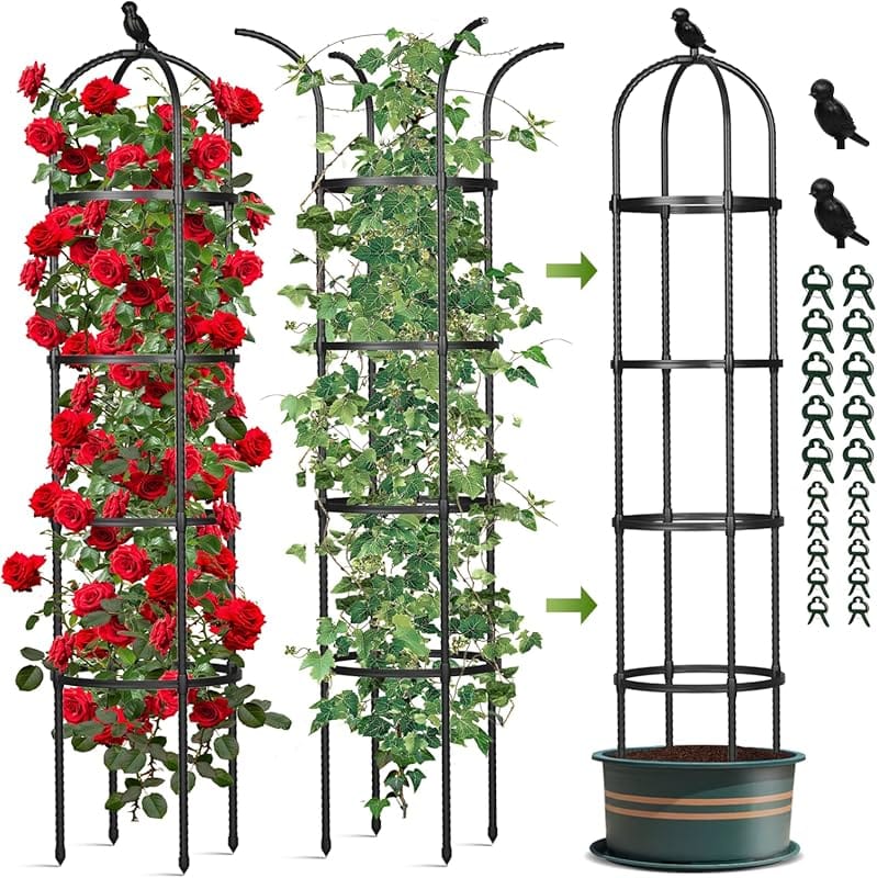 Top 10 Trellis for Plants: Quality Picks for Healthy Growth