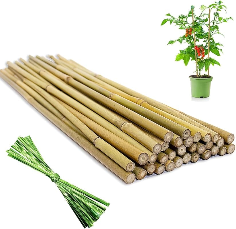 32PCS 18