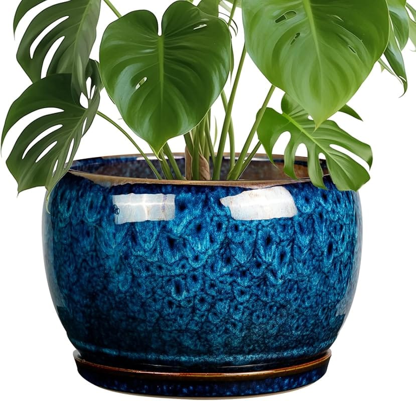 5 Top Ceramic Large Planter Pots for Stylish, Durable Indoor & Outdoor Gardens