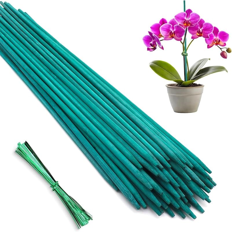 HAINANSTRY 50PCS 18