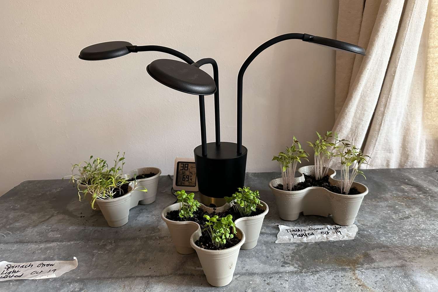 UV Lamp for Plants: Do You Actually Need One?