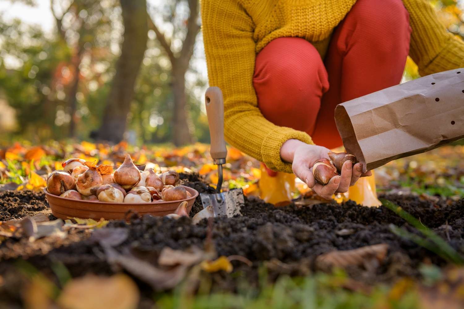 fall planting