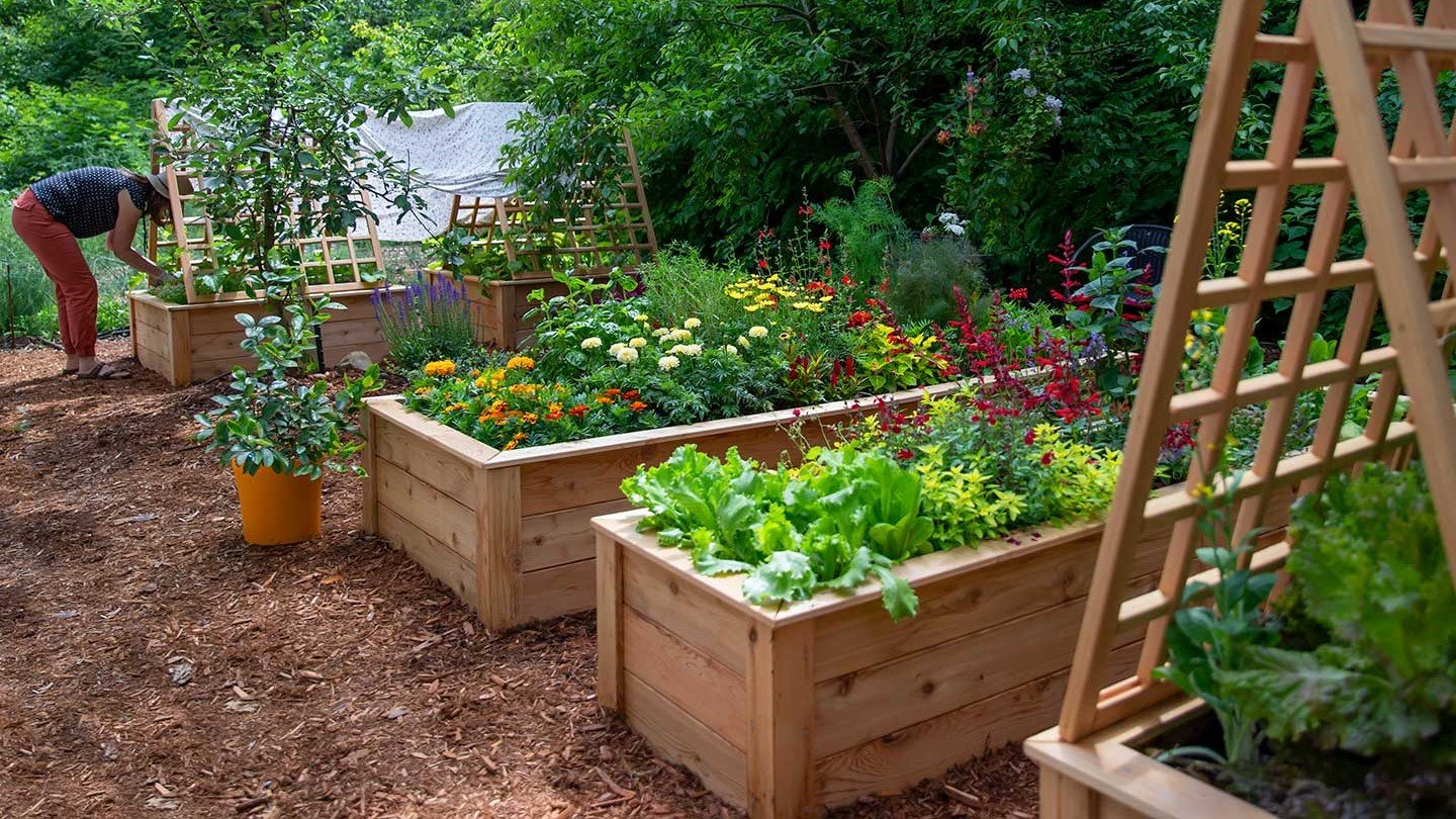 easy home planting