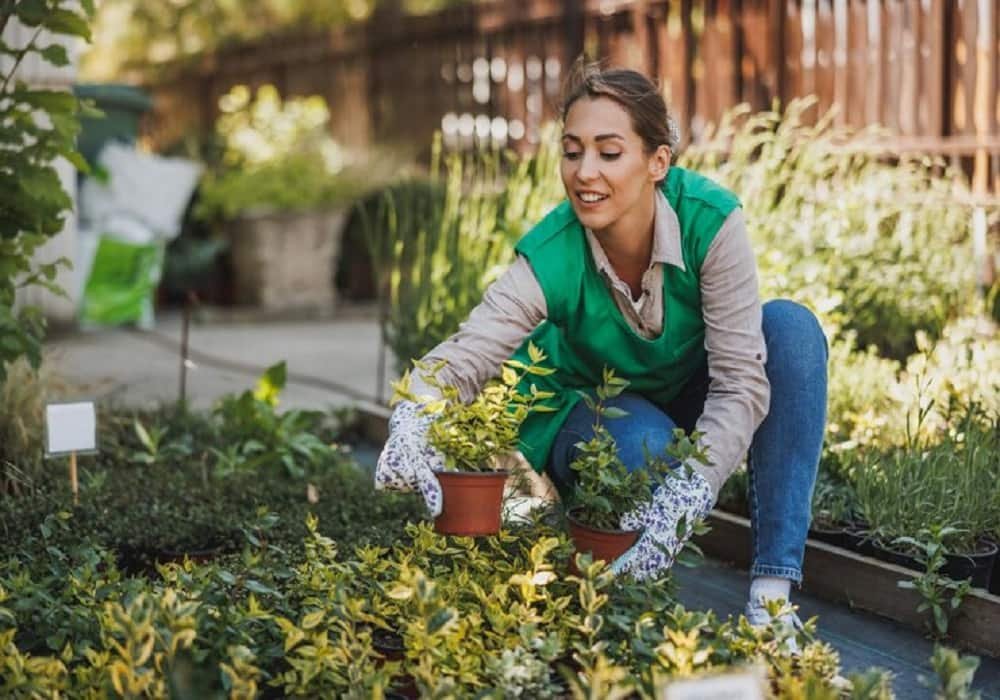 easy home planting