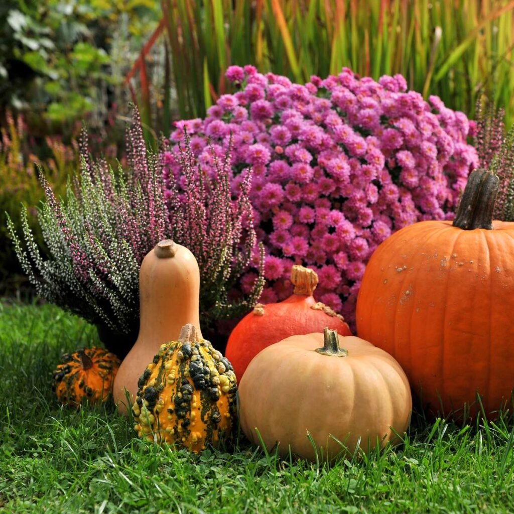 fall planting